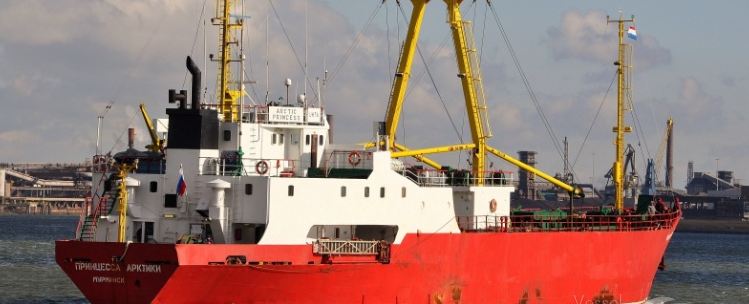 В порту Мурманска произошел пожар на грузовом корабле «Принцесса Арктики»